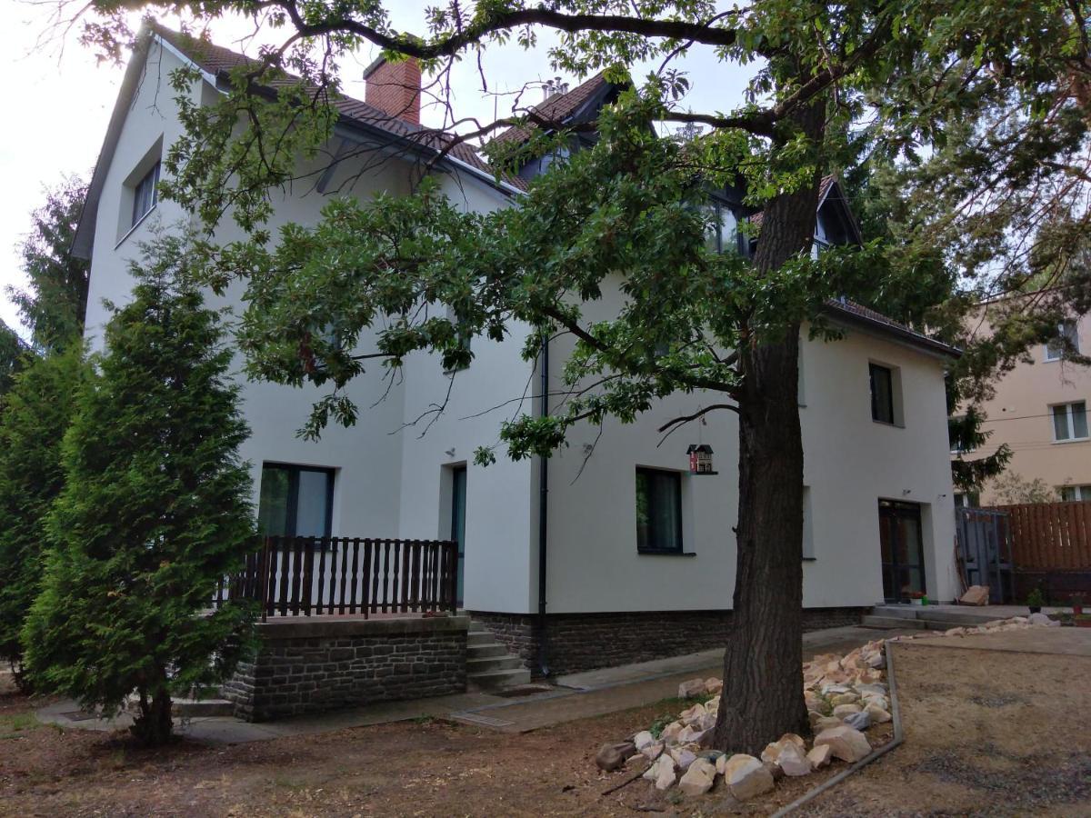 Diana Panzio Bed and Breakfast Matrafured Buitenkant foto