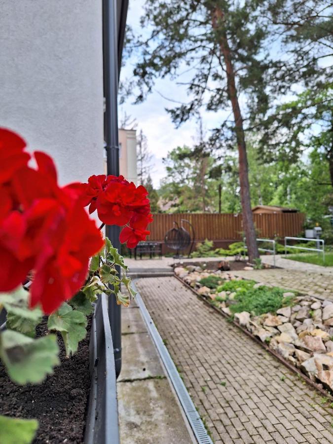 Diana Panzio Bed and Breakfast Matrafured Buitenkant foto